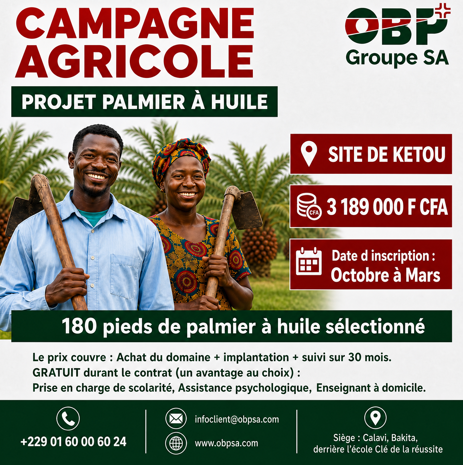 Projet palmier à huile – Kétou